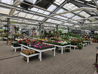Blumen Risse Blumenmarkt Speyer