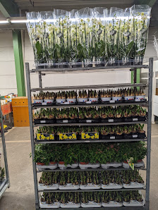 Schittko Blumengroßhandel GbR
