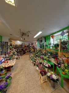 Blumenladen Rosenwelt am Ei