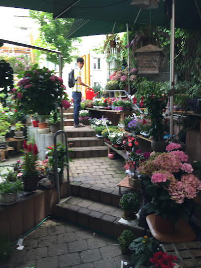 Blumenladen Rosenwelt am Ei