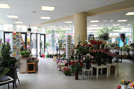 Blumen Hellwig