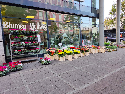 Blumen Hellwig