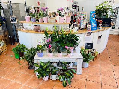 Blumenladen Ingrid Haberscheidt