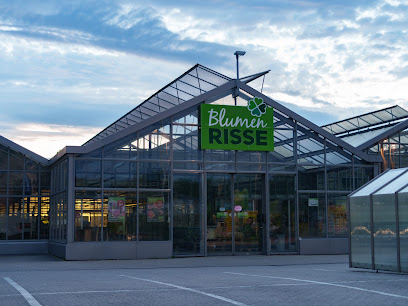Blumen Risse Blumenmarkt Mülheim-Kärlich