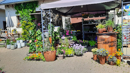 Der Blühende Stall