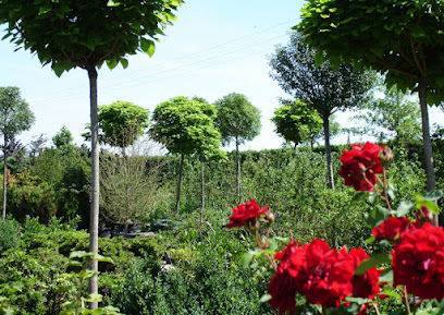 Schwalmtal