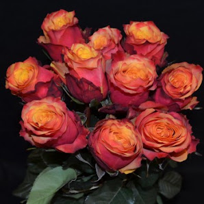 Die Blumen Ecke - Olesja Ermisch