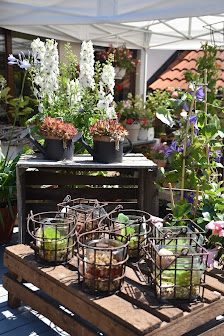 Blumenhaus Petzold Inhaber Anke Burghardt