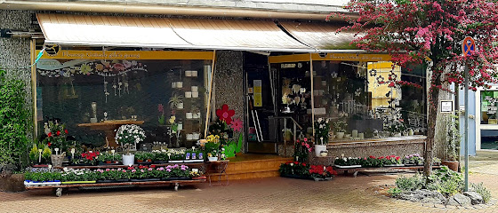 Blumenhaus Ohlig
