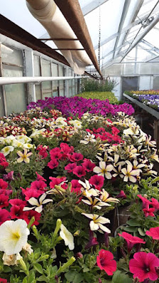 Gartenbau Siegmar Schönert
