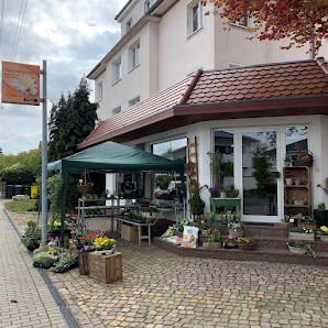 Laden23 Blumen+Regionales