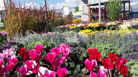 Raiffeisen-Markt Ingelheim