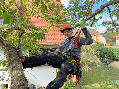 RD Service - Baumfällung - Baumpflege - Gartenarbeiten