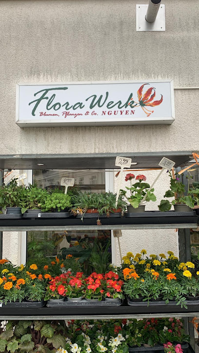 FloraWerk Blumen Pflanzen & Co. Nguyen