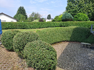 Huber' s Grundstück- und Gartenpflege
