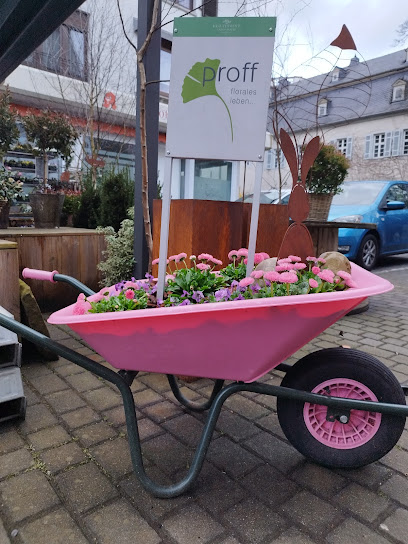 Blumen-Proff Haus der Geschenke GmbH