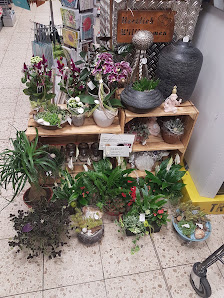 Blumen Atelier- Atelier de Petite Fleur by Sabine