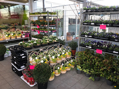 Oliver Kasten Blumenshop