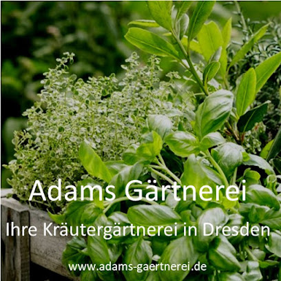 Adams Gärtnerei