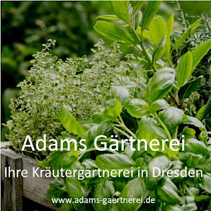 Adams Gärtnerei