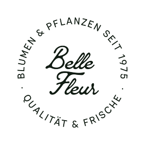 Blumen Cox Belle Fleur