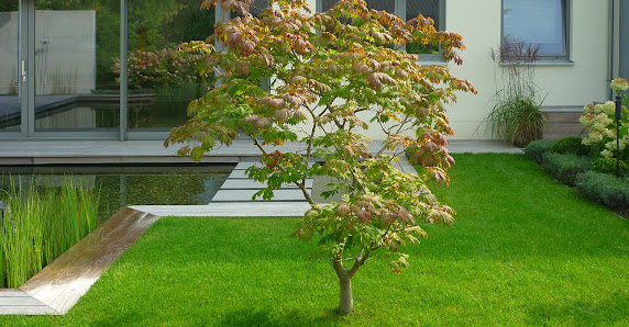 Hammes & Kramp GmbH Gartengestaltung