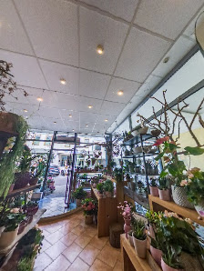 Wildwuchs Floristik