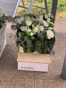 Blumen / Trauerfloristik Marion Lenzen