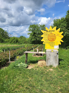 Blumen selbst schneiden / blumen_by_berges