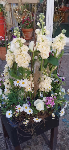 Pusteblume Kriegsheim, Floristik u. Accessoires