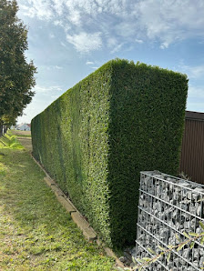 Pfälzer Gartenpflege