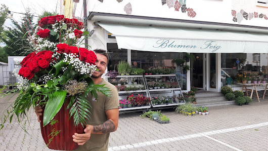 Blumen Feig