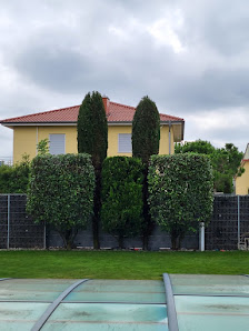 JuVi Haus- und Gartenservice