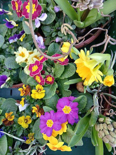 Gartenbau André Schulze