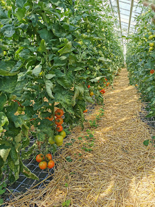 Gartenbau Rüger