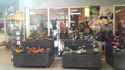Blumen Gallucci Ramstein