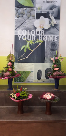 Blumen Gallucci Ramstein