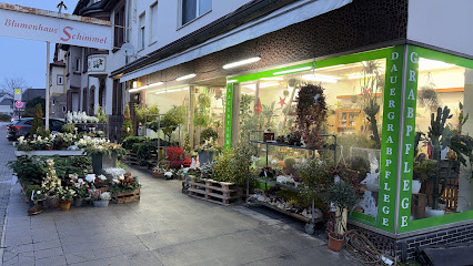 Blumenhaus Schimmel