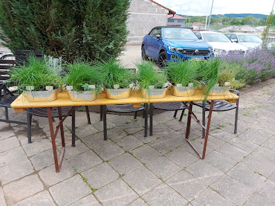 Garten-und Landschaftsbau Tudorel Stoica