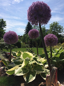 Kraushaar · Garten- und Landschaftsbau