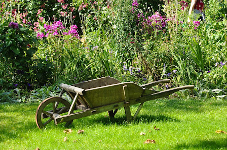 Gartenbau Litz Inh. Stefanie Litz-Sandvik