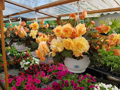 Blumen Akgün