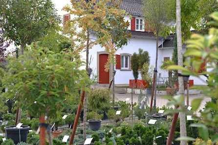Baumschulen Eugen Wühl
