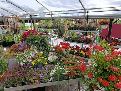 GartenBaumschule Lux - Privatverkauf Bannewitz
