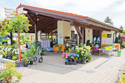 GartenBaumschule Lux - Privatverkauf Bannewitz