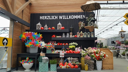 Kühne Grün erleben