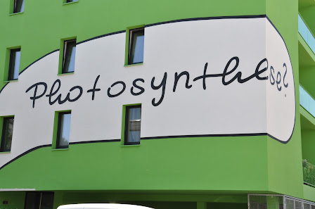Pflanzen-Forum GmbH