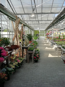 Blumen Kimmes