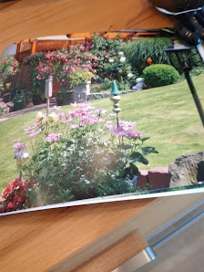 Tiger-Gartenpflege