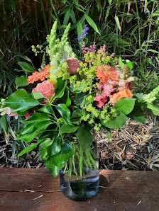 Blumen Alexander